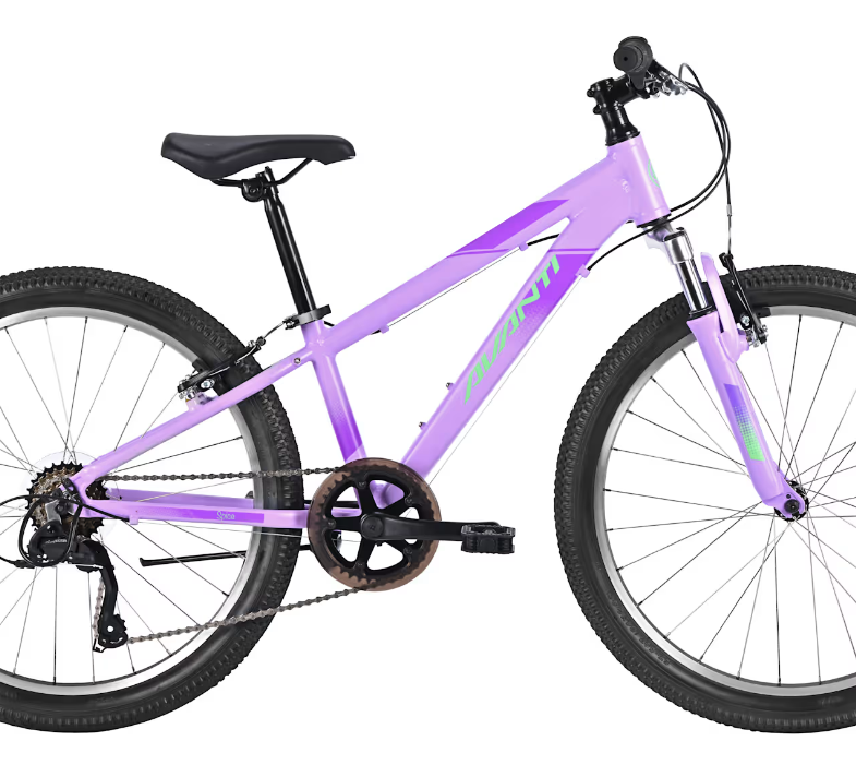 AVANTI Spice 24 Hush Purple