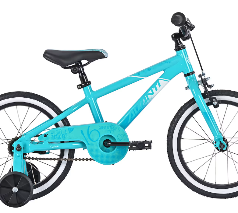 AVANTI Spice 16 Teal