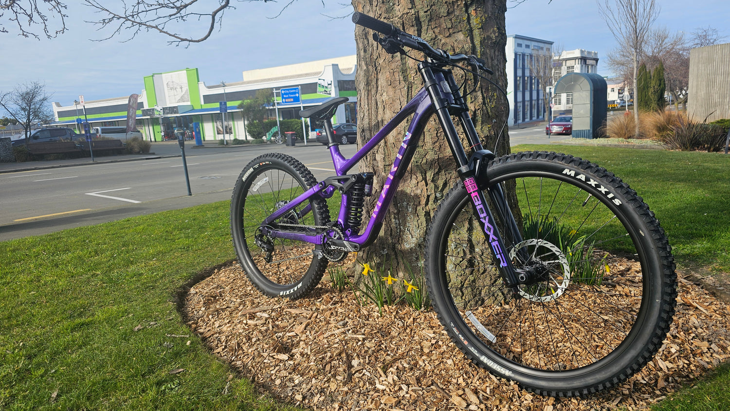 Purple bicycle leaning against a tree in an urban setting