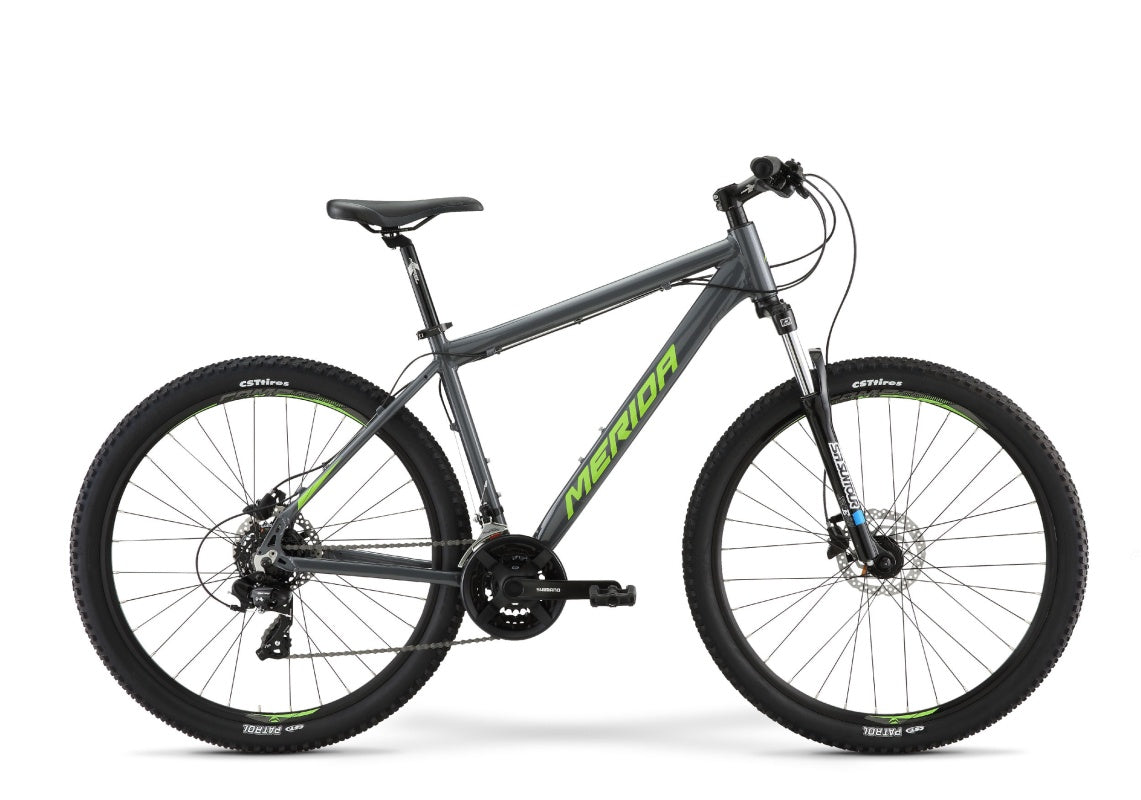 21 BIG SEVEN 10-D - ANTHRACITE GREEN SILVER XL DC Cycles