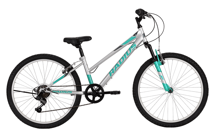 22 LYNX 24 - CHROME/TURQUOISE/CHARCOAL - DC Cycles -  