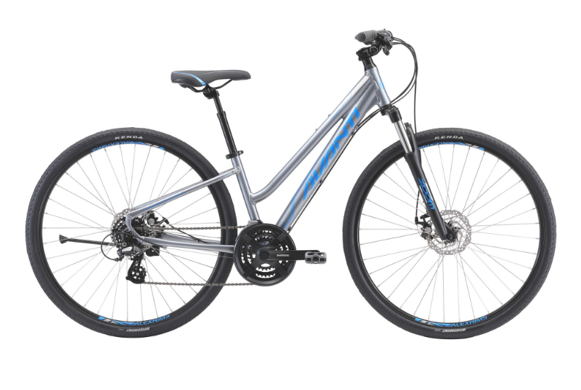 AVANTI Bike Discovery 1 Low Silver/Blue