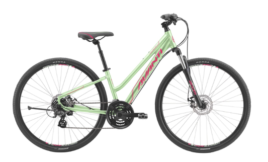 AVANTI Bike Discovery MS 1 Low Green