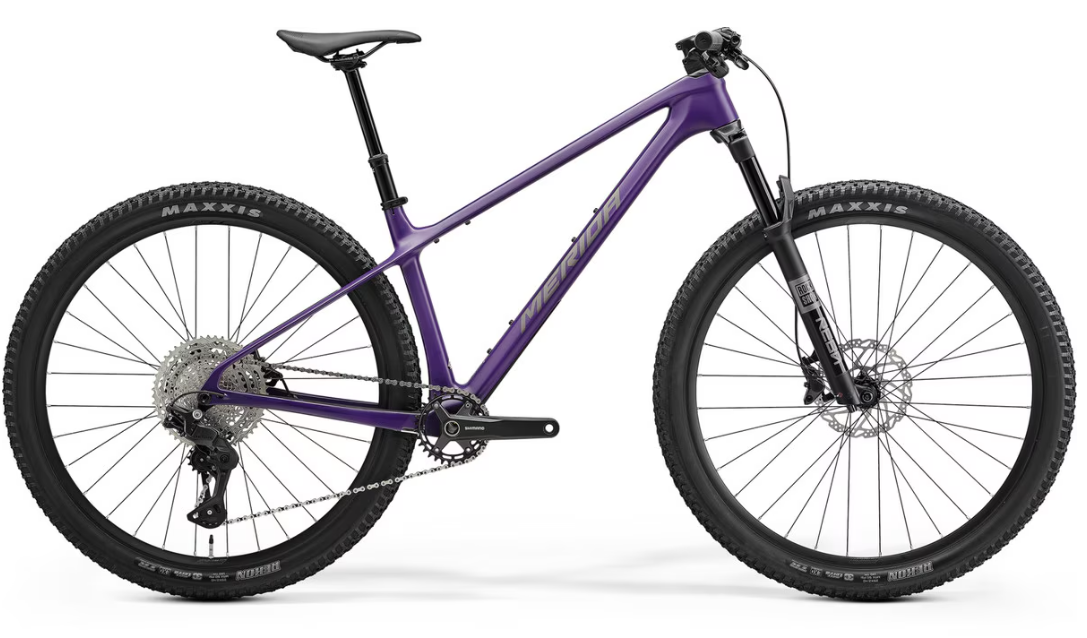 Dark purple mountain bike with silver accents, front suspension fork, disc brakes